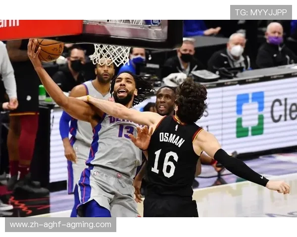 哪有火箭队比赛直播资源？高质量平台全整理