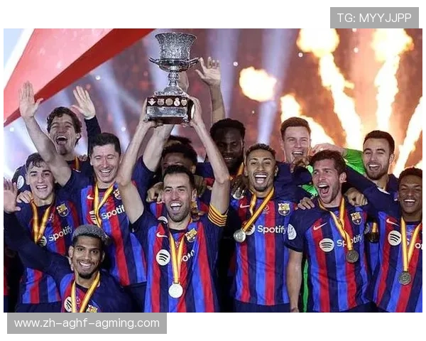 意甲从未降级球队名单及体育联赛稳定性