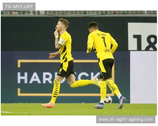 钢铁意志与战术智慧的结合 解密德甲霸主球队背后的竞技哲学