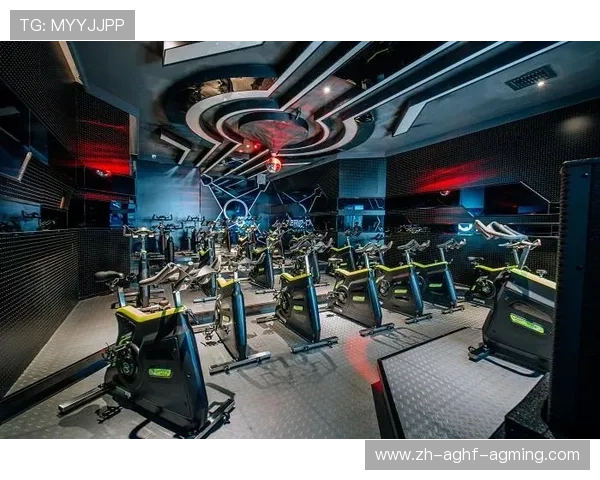 赛普健身器材:赛普品牌的产品特色与市场表现 赛普健身器材:赛普品牌的产品特色与市场表现